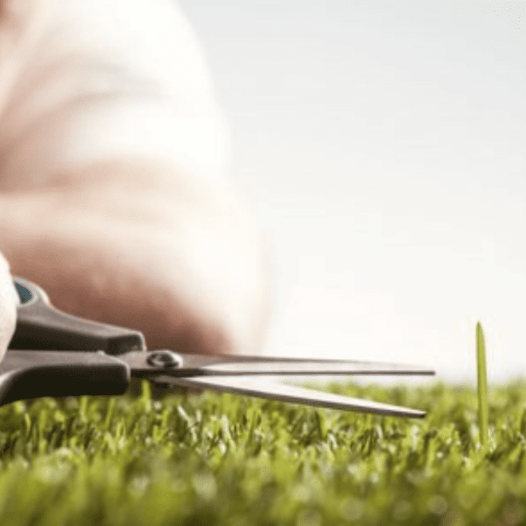 cutting grass