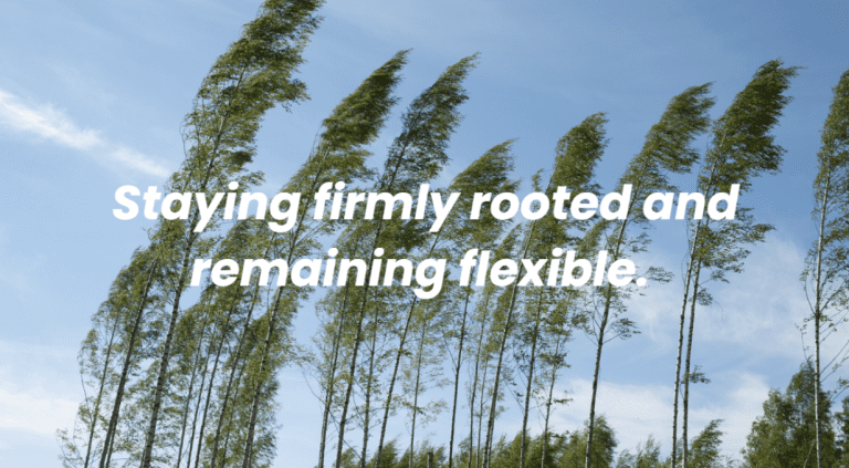 Rooted, Not Rigid: The Resilience Skill Most Leaders Overlook